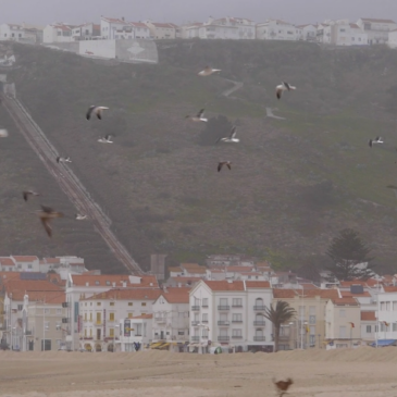 Nazaré February 28th